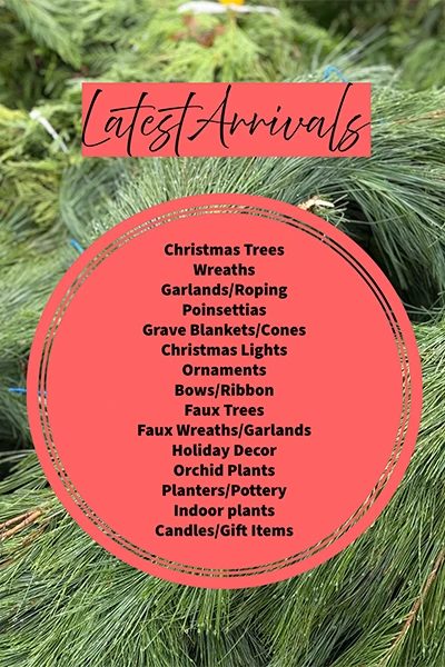 Latest Arrivals from Metropolitan Plant and Flower Exchange