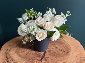 Ivory Grove Ivory Grove