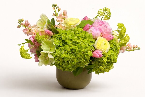 Lime Blush Lime Blush