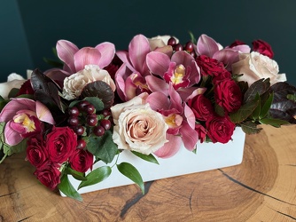 November Muse November Muse