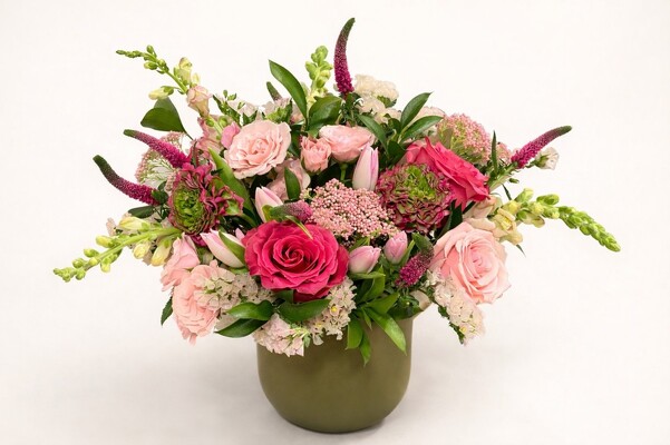 Olive Meadow Olive Meadow