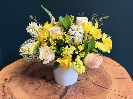 Golden Spring Golden Spring