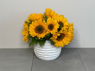Sunny Sunflowers Sunny Sunflowers