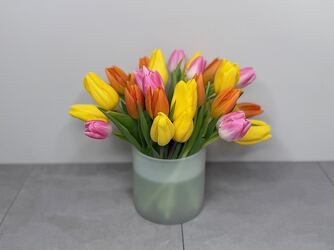 Tulip Charm from Metropolitan Plant & Flower Exchange, local NJ florist