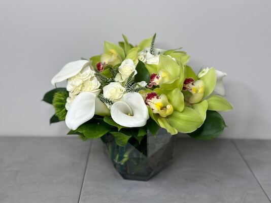 Very Modern from Metropolitan Plant & Flower Exchange, local NJ florist