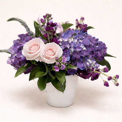 Violet Drift Violet Drift