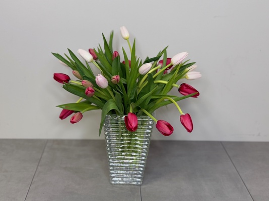 Hugs & Kisses from Metropolitan Plant & Flower Exchange, local NJ florist