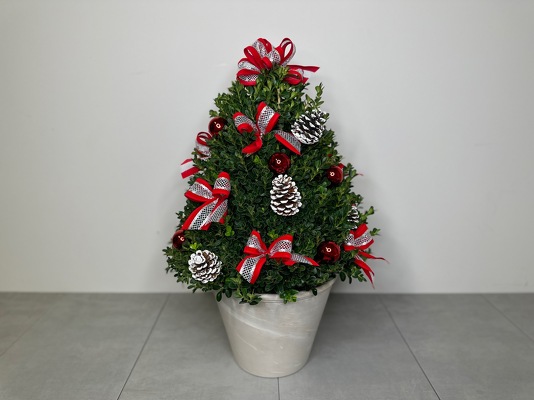 Festive Boxwood Tree from Metropolitan Plant & Flower Exchange, local NJ florist